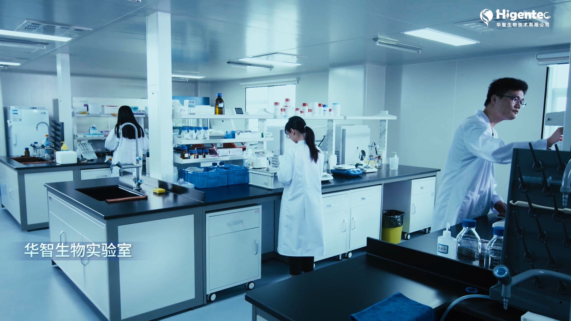 2023年第四届世界绵羊大会视频制作